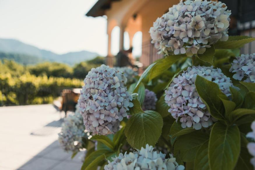 Il Frescale Country House Tramonti Εξωτερικό φωτογραφία